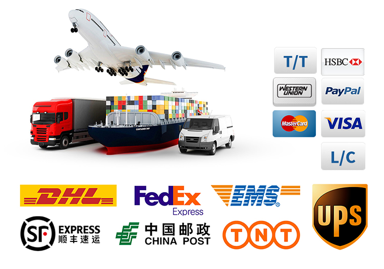 Global Transportation Logistics