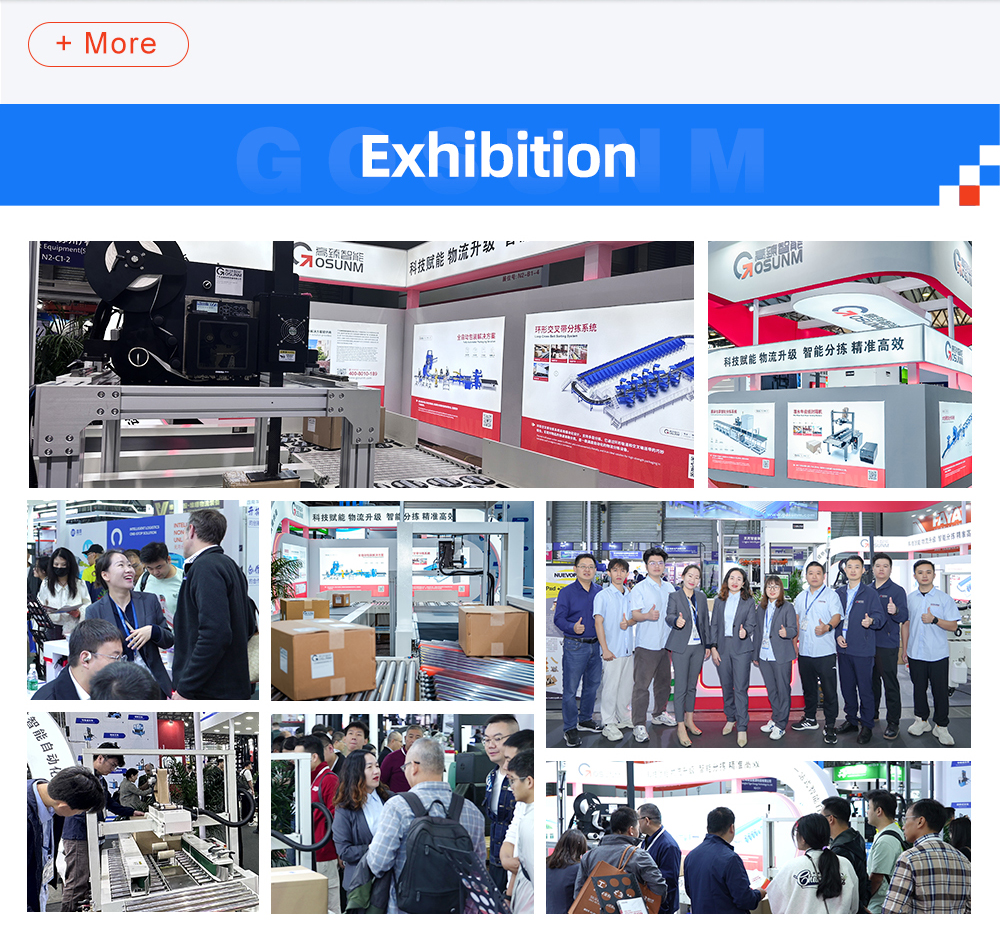 Automated Warehouse Parcel Sorted System Dynamic Dws Logistic Machine