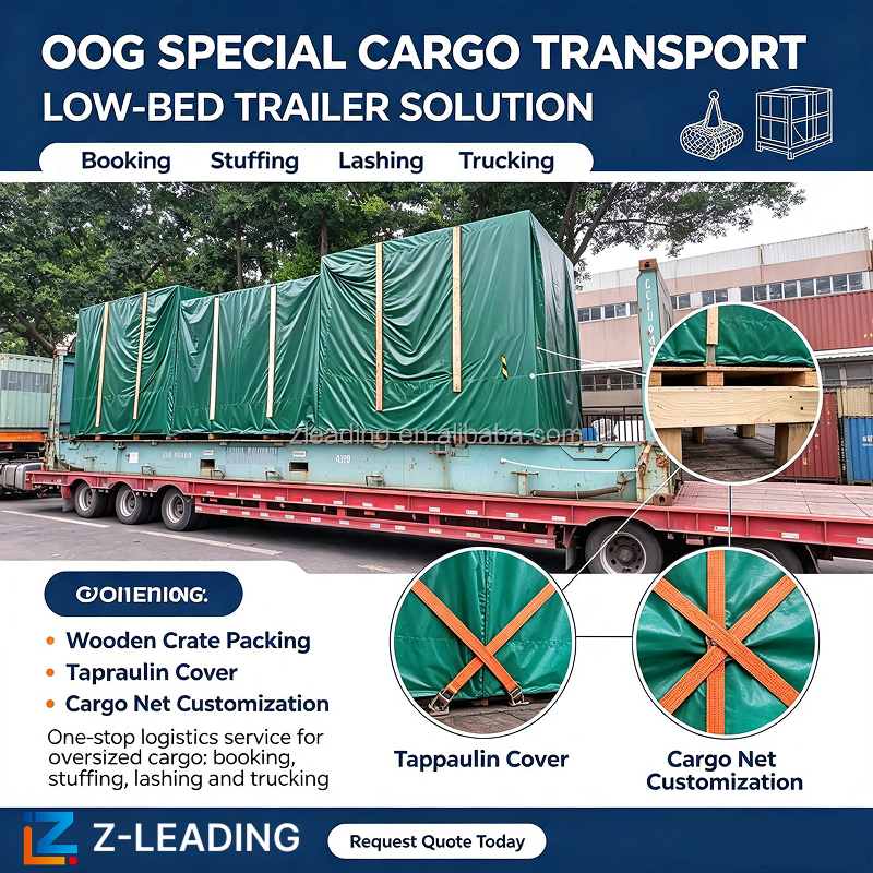 International Sea Freight Service for Oversized Overweight Cargo Project Machinery Flat Rack and Open Top Containers