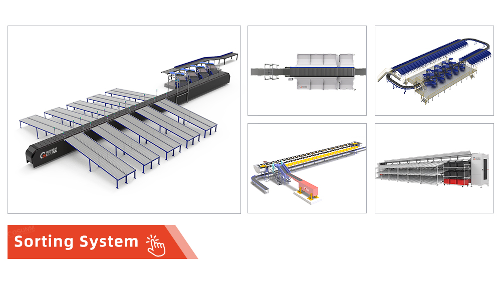 Automated Warehouse Parcel Sorted System Dynamic Dws Logistic Machine