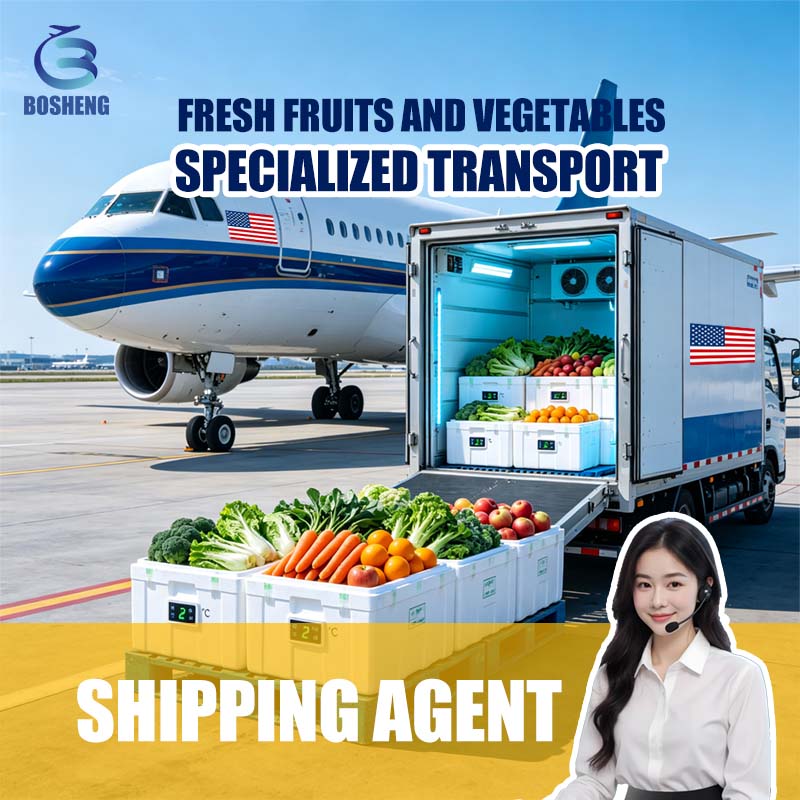 Professional Cold Chain Logistics Refrigerated Shipping Services Food Transportation Seafood Supplies Shipping Agent Solutions