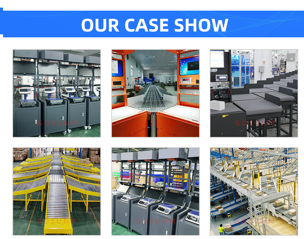 Automated Warehouse Parcel Sorted System Dynamic Dws Logistic Machine