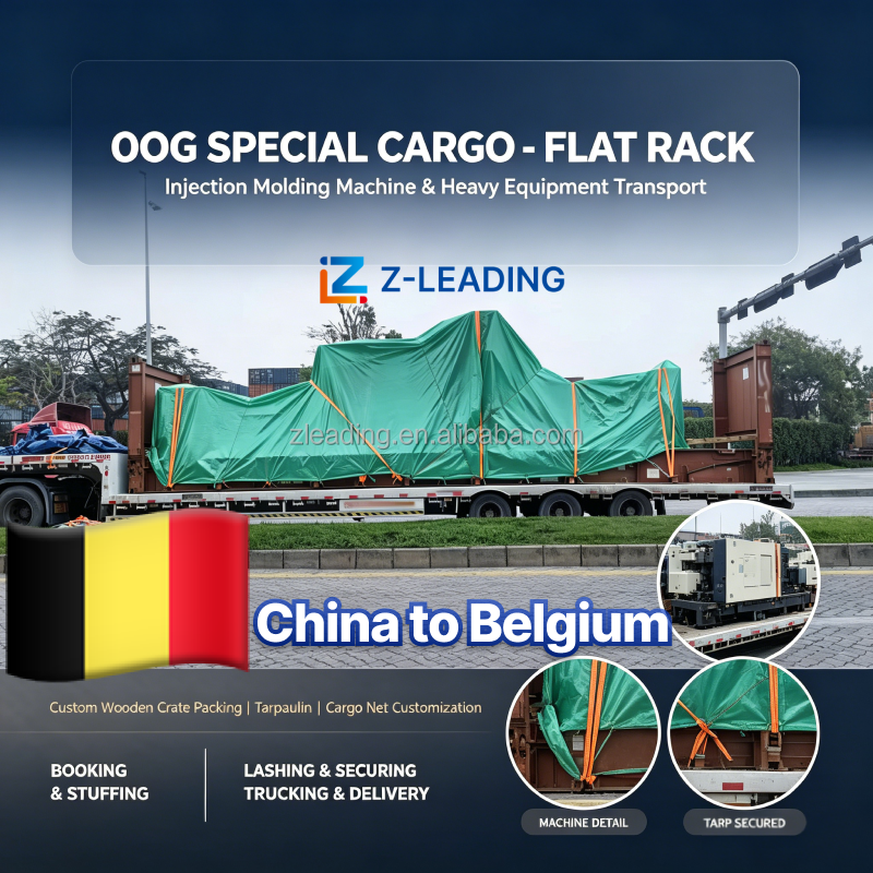 International Sea Freight Service for Oversized Overweight Cargo Project Machinery Flat Rack and Open Top Containers