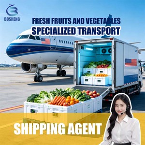 Cold Chain Logistics Refrigerated Shipping Services