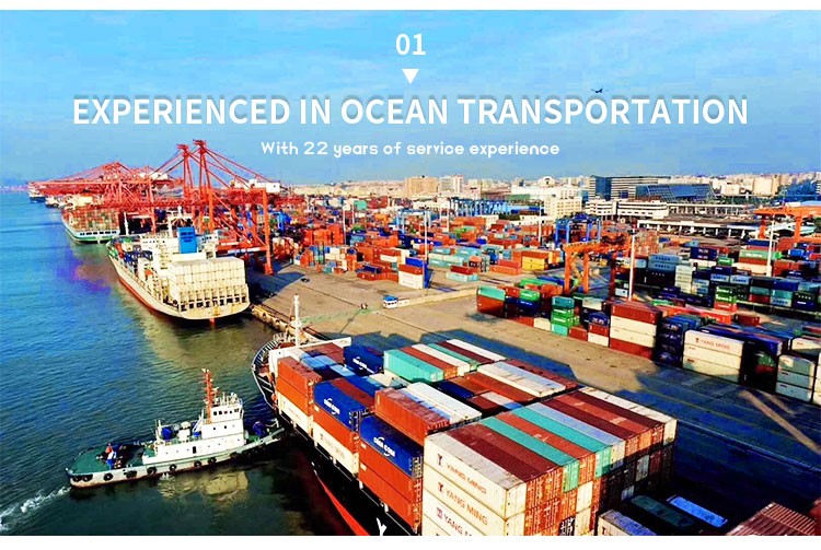 Sea Shipping Cargo Second Hand 20/40/45GP Reefer/flat Rack/open Top Side Open Containers for Trading on Sale
