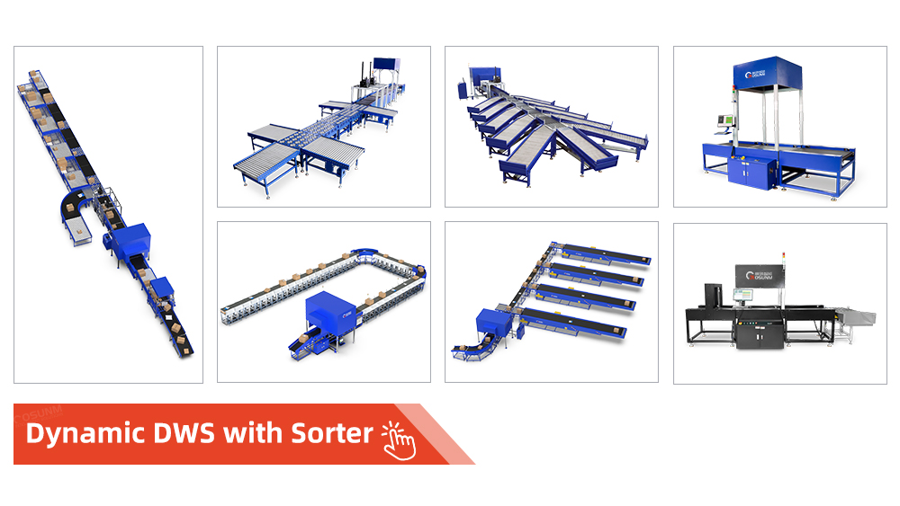 Automated Warehouse Parcel Sorted System Dynamic Dws Logistic Machine