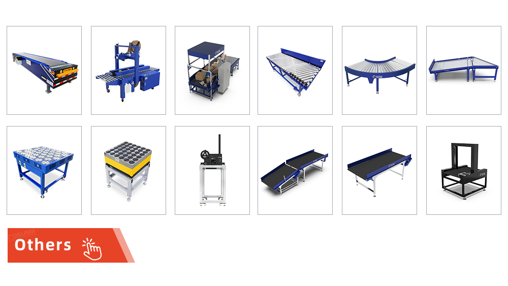 Automated Warehouse Parcel Sorted System Dynamic Dws Logistic Machine