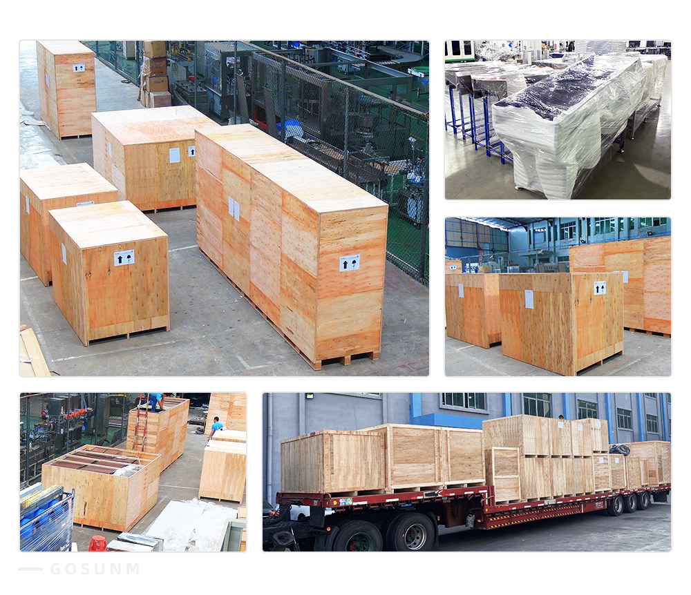 Automated Warehouse Parcel Sorted System Dynamic Dws Logistic Machine