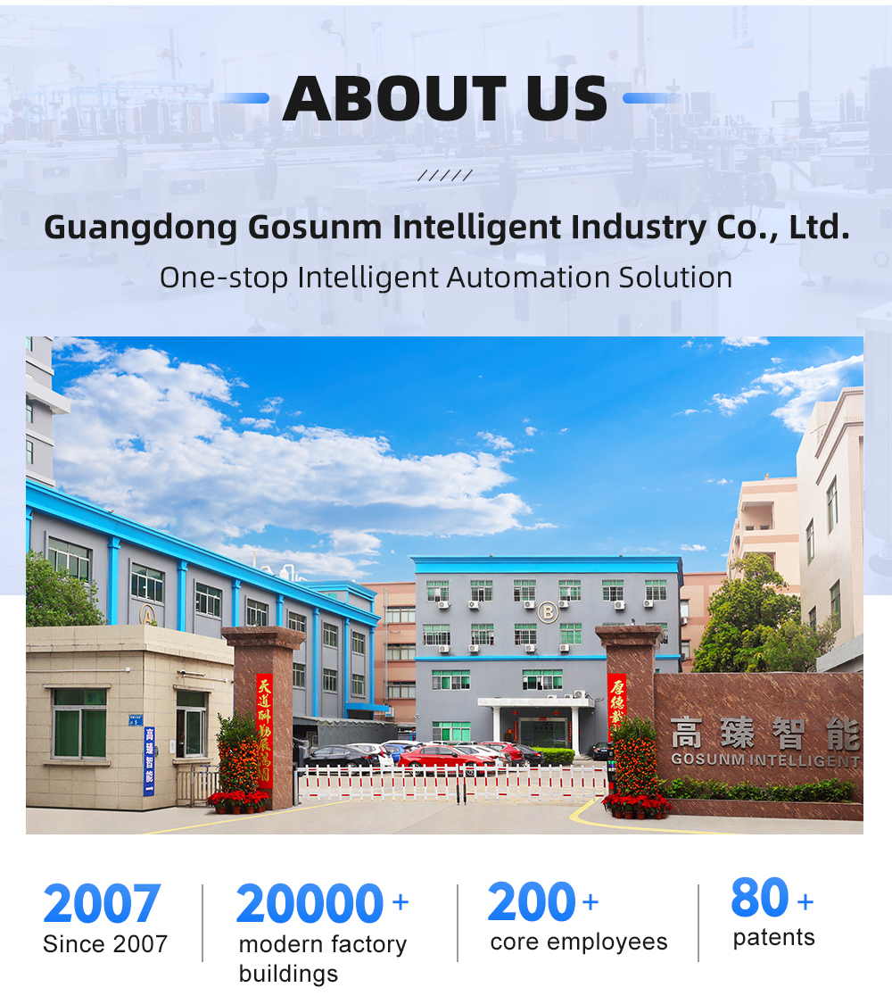 Automated Warehouse Parcel Sorted System Dynamic Dws Logistic Machine