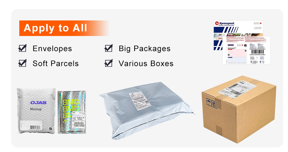 Automated Warehouse Parcel Sorted System Dynamic Dws Logistic Machine