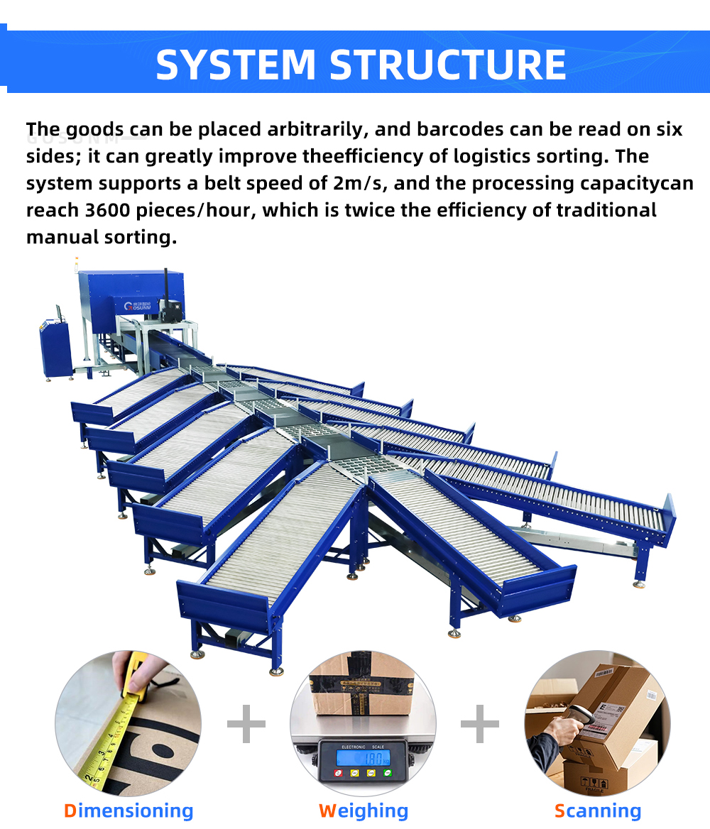 Automated Warehouse Parcel Sorted System Dynamic Dws Logistic Machine