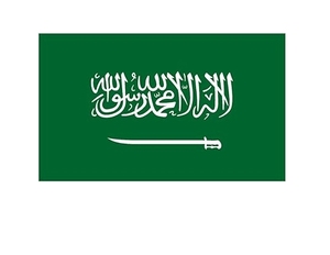 Saudi Customs Approved Door-to-Door Shipping Service China DDP