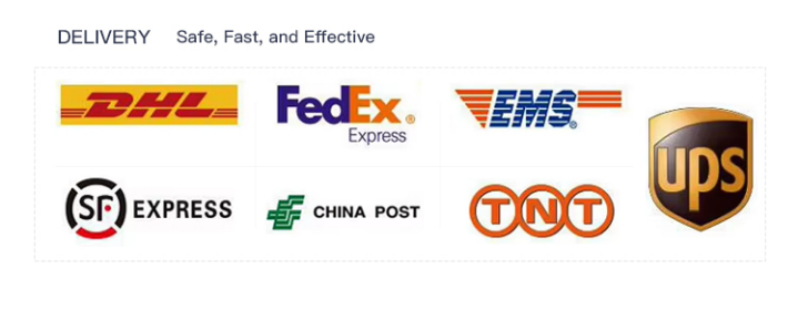 Dry Container Shipping Cargo Transport For Vehicles Multi Modal FCL Service