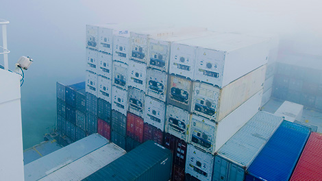 Plant-based and sustainable trade report