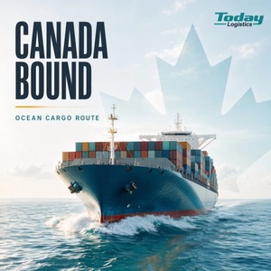 China to Canada FCL LCL Freight Forwarder Local Distribution Drayage