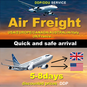 DDP Sea and Air Express Shipping Agent