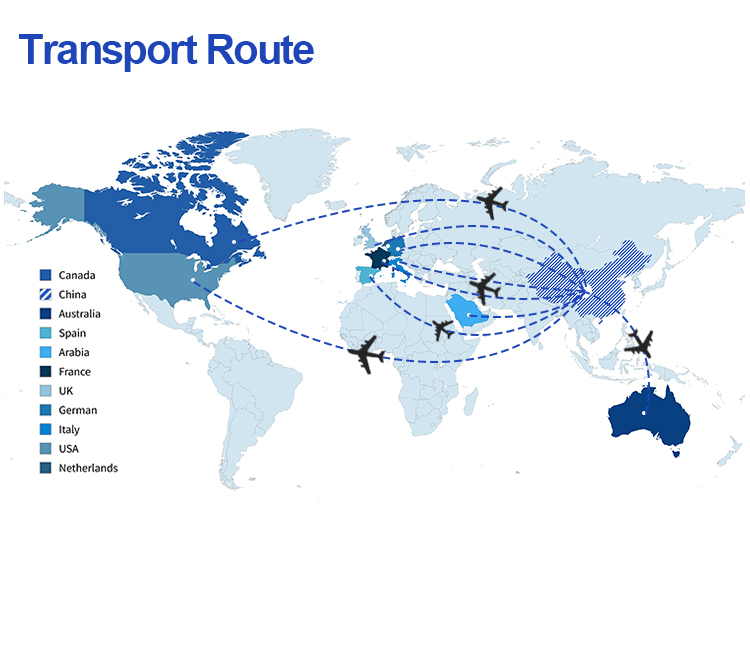 Global Transport Network Coverage