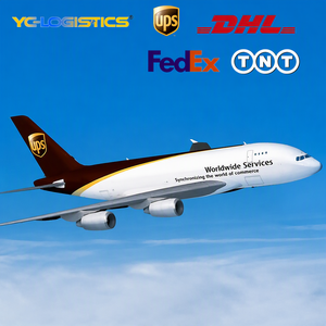 DDP Partner Airlines Air Cargo Shipping